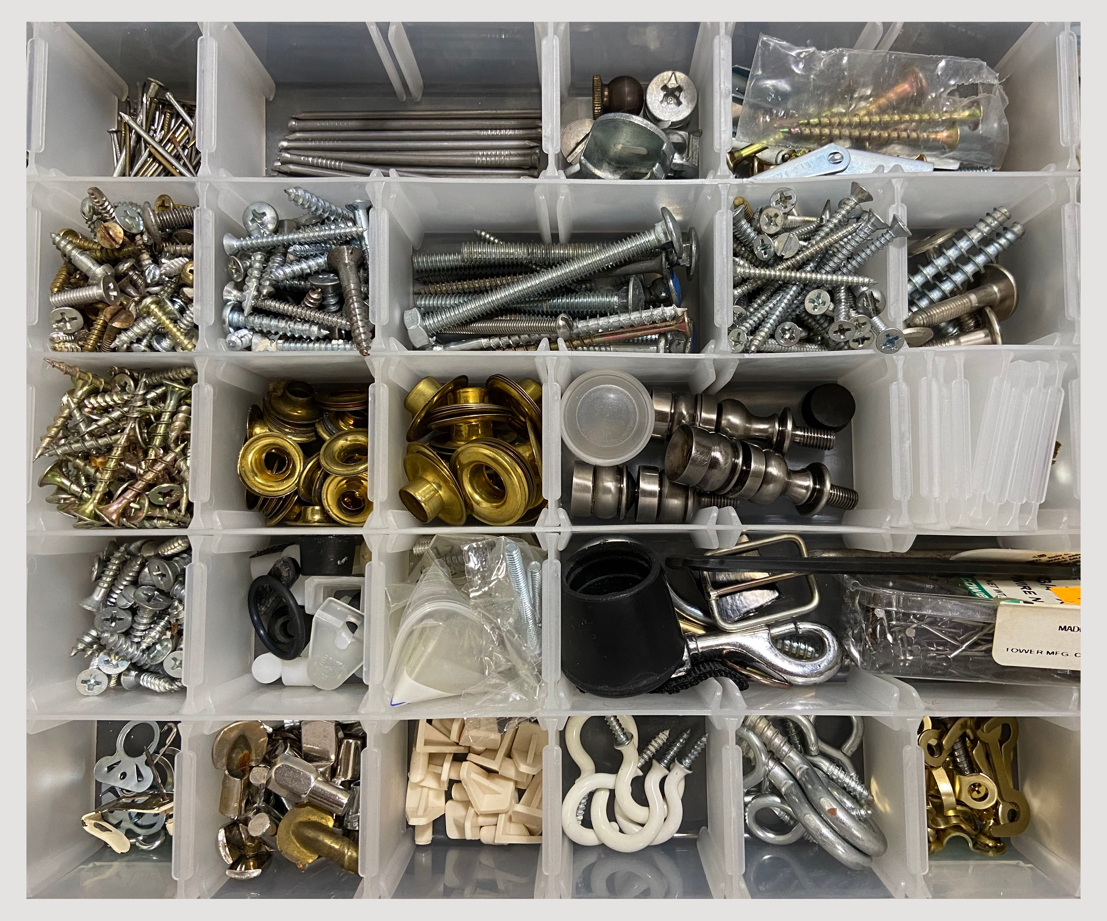 Fasteners divided by type in organizer