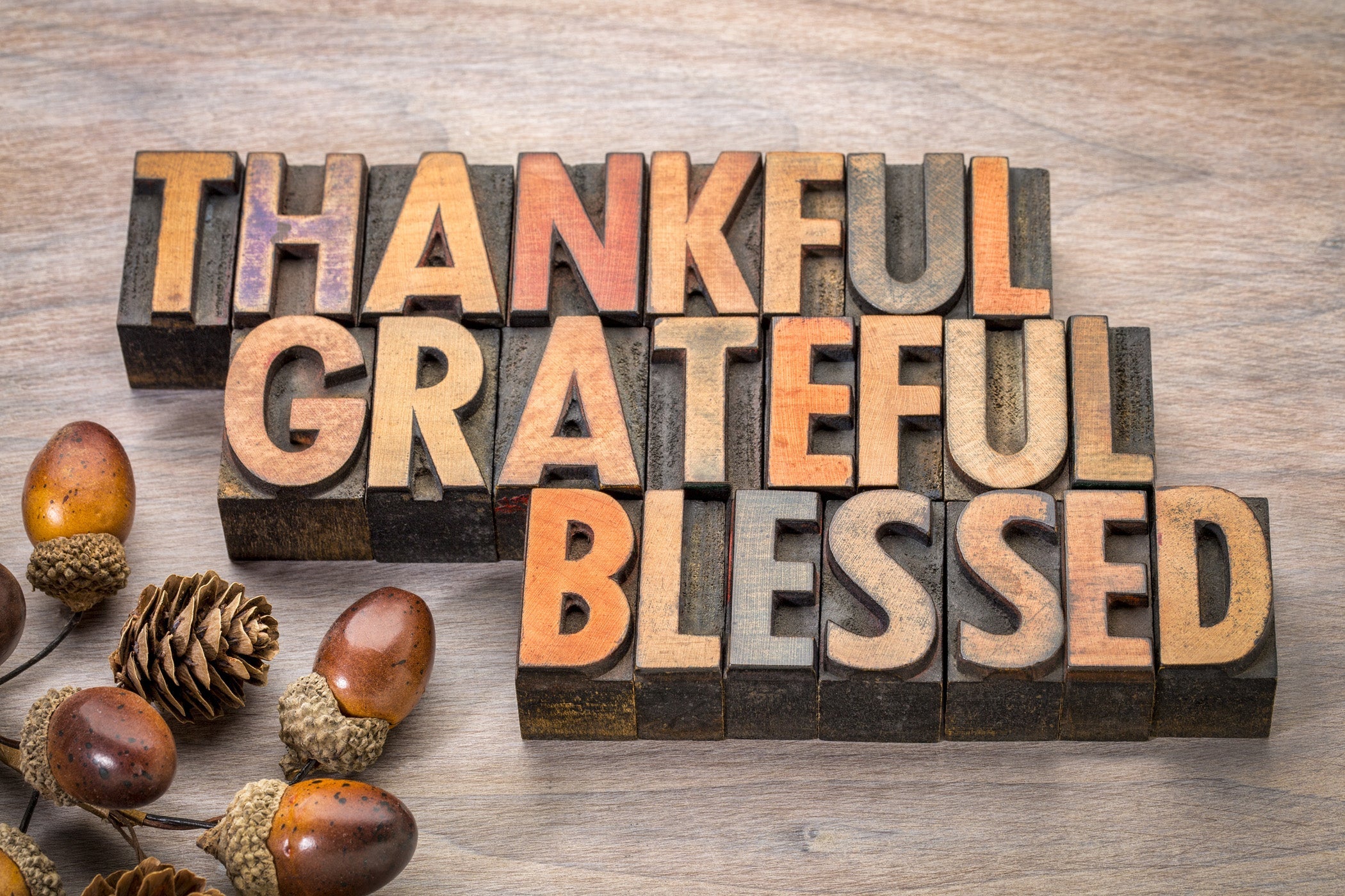 Thankful, Grateful, Blessed engraved in block letters with acorns in the bottom left corner (licensed from Adobe Stock Photos)