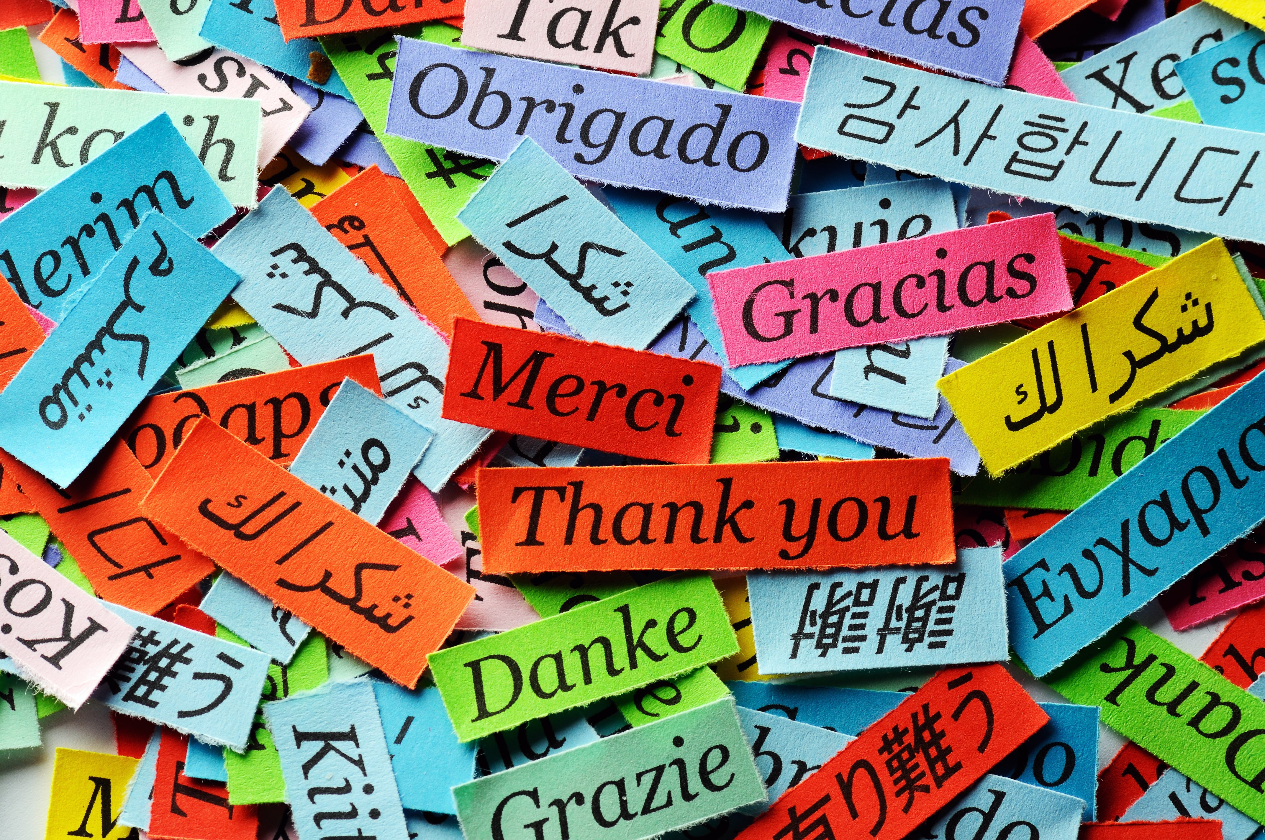 Thank you written in many languages on brightly-colored slips of paper (licensed from Adobe Stock Photos)